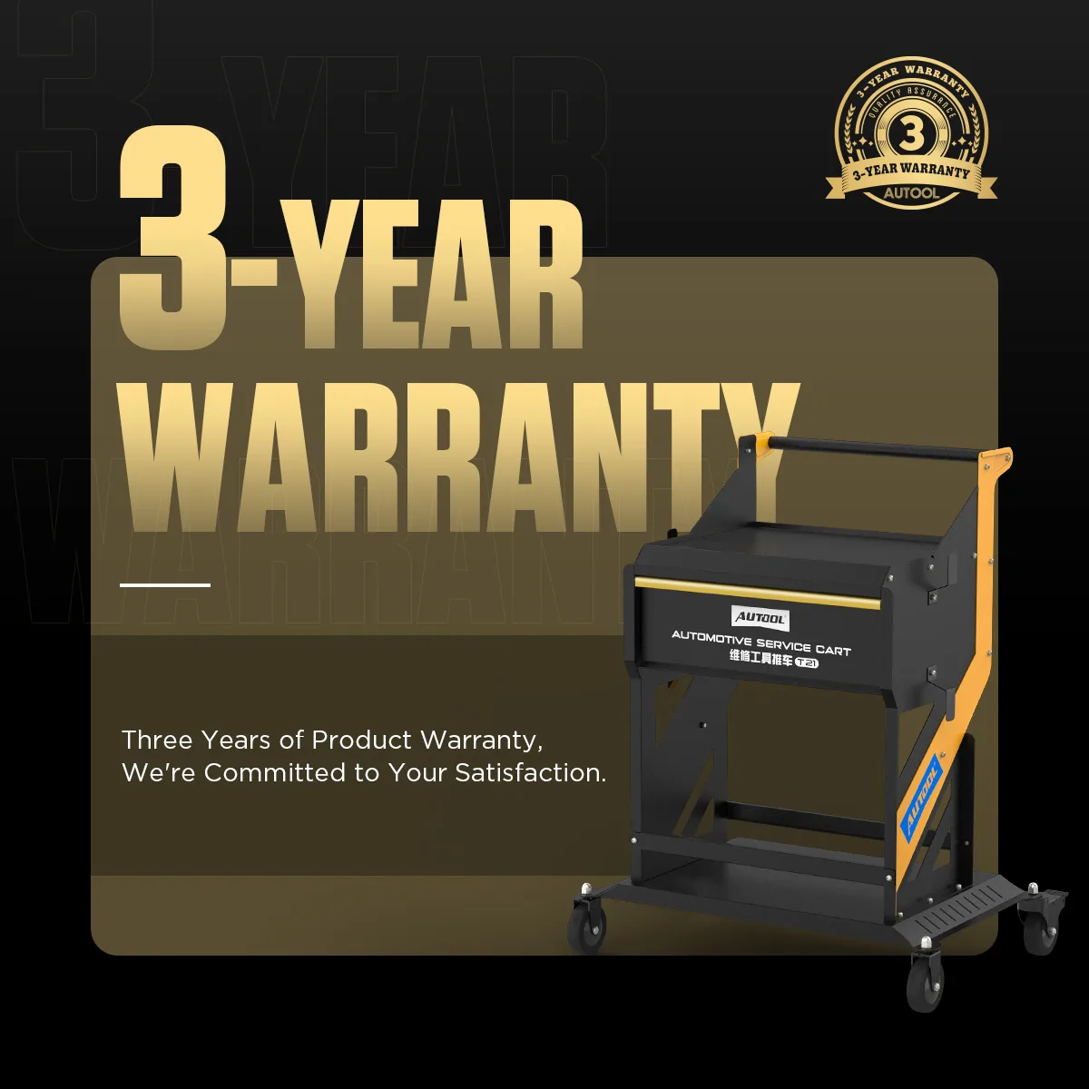T21 Automotive Service Cart-For Fuel Injector Cleaner & Tester – image 3